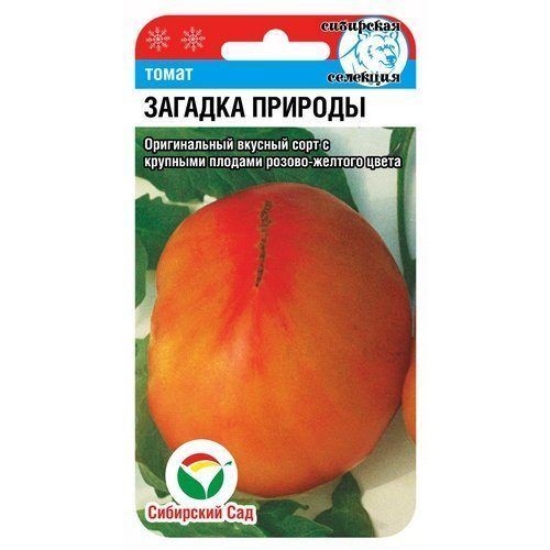 Томат Загадка природы (СС)