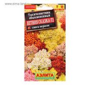 Цветы Тысячелистник Летняя Сказка (Аэлита)