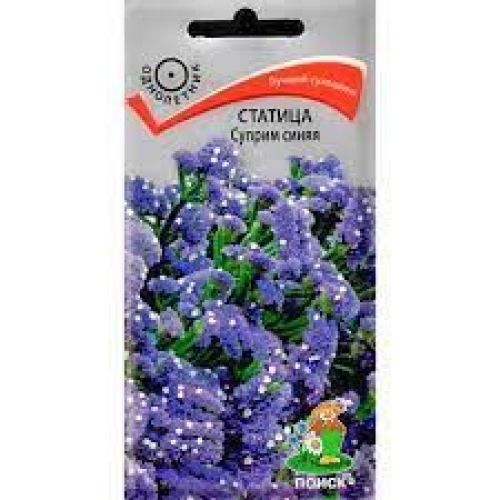Цветы Статица Суприм синяя (Поиск)