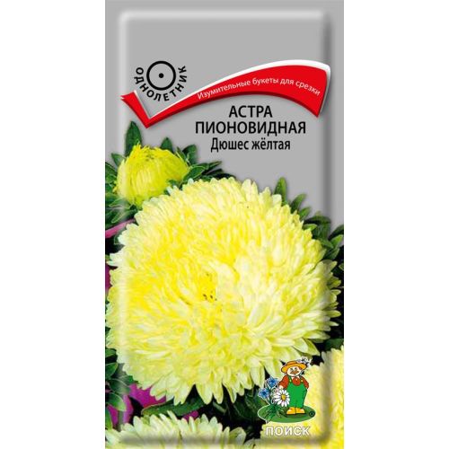 Цветы Астра Дюшес Желтая (Поиск)