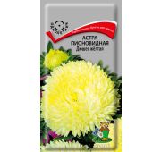 Цветы Астра Дюшес Желтая (Поиск)