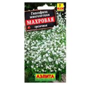 Цветы Гипсофила Махровая многолетняя (Аэлита)
