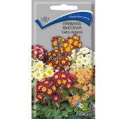 Цветы Примула Высокая смесь окрасок (Поиск)