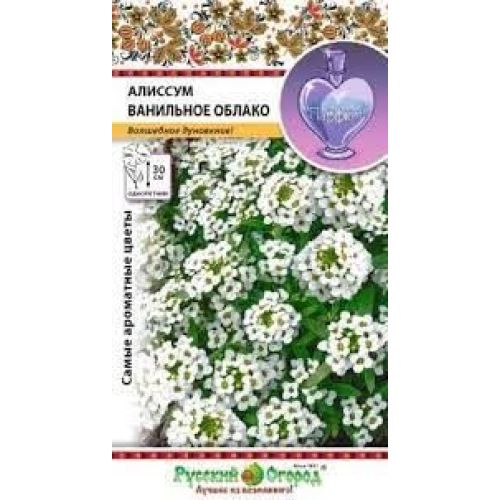 Цветы Алиссум Ванильное облако (НК)