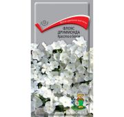 Цветы Флокс Друммонда Красотка в белом (Поиск)