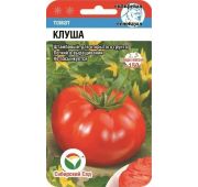 Томат Клуша (СС)