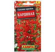 Цветы Сальвия Кардинал (Аэлита)