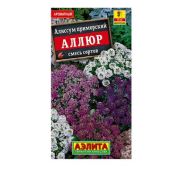 Цветы Алиссум Аллюр (Аэлита)