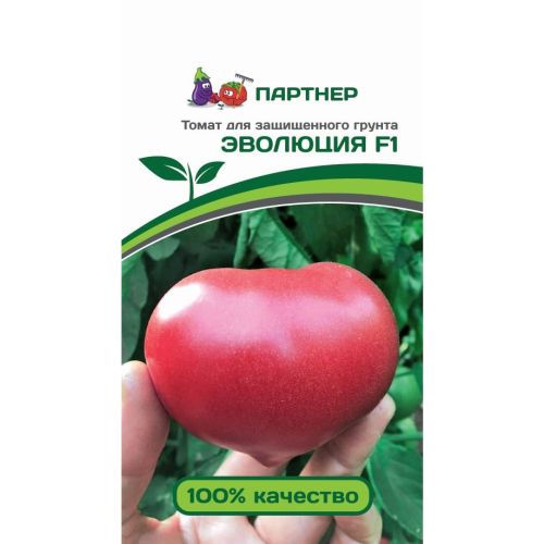 Томат Эволюция (Партнер)