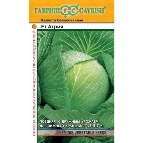 Капуста Атрия F1 (Гавриш)