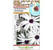 Цветы Остеоспермум Прохлада (НК)