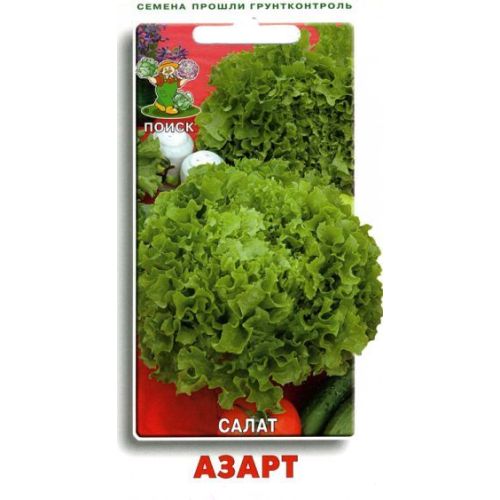 Салат Азарт (Поиск)