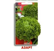 Салат Азарт (Поиск)