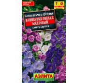 Цветы Колокольчик Ванильные облака махр (Аэлита)