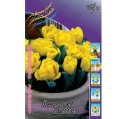 Тюльпан Йеллоу Бэйби (2й эффект) 1шт.