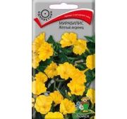 Цветы Мирабилис Желтый леденец (Поиск)