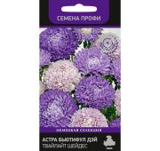 Цветы Астра Бьютифул Дей Твайлайт Шейдес (Поиск)