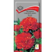 Цветы Гвоздика Шабо красная (Поиск)
