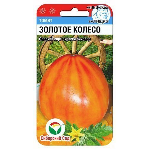 Томат Золотое колесо (СС)