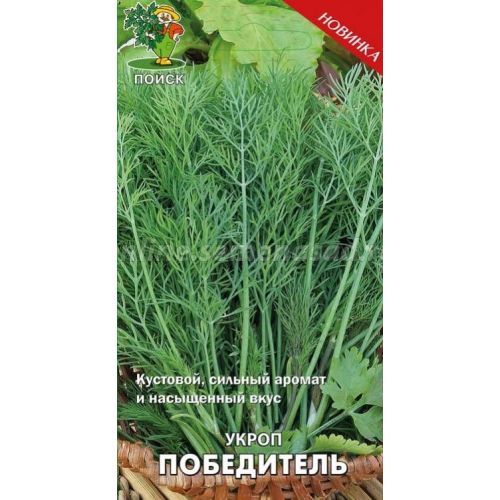 Укроп Победитель (Поиск)