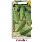 Огурец Тополек (Поиск)