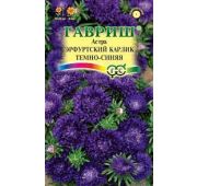 Цветы Астра Эрфурт. карлик т-синяя (Гавриш)