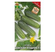 Огурец Дамский угодник F1 (Поиск)