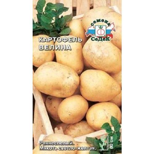 Картофель Велина (Седек)