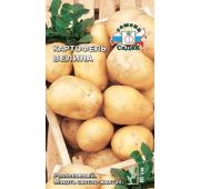 Картофель Велина (Седек)