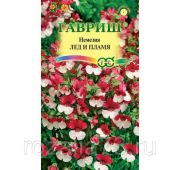 Цветы Немезия Лед и Пламя (Гавриш)