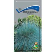 Цветы Овсяница Сизая Голубая (Поиск)