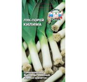Лук Порей Килима (Седек)