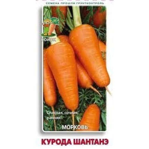 Морковь Курода Шантане (Поиск)