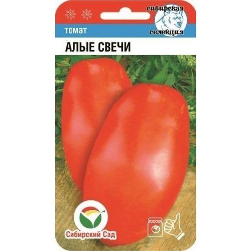 Томат Алые Свечи (СС)