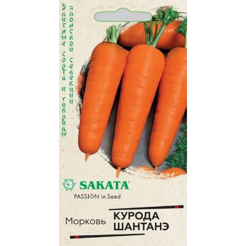 Морковь Курода Шантанэ (Седек)
