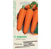 Морковь Курода Шантанэ (Седек)