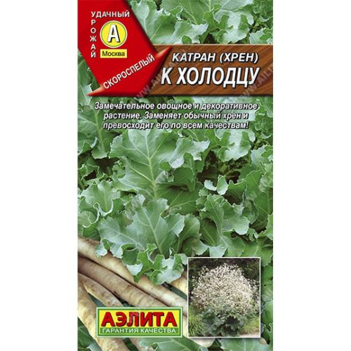 Crambe maritima - Image of an specimen - Plantarium