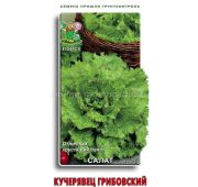 Салат Кучерявец Грибовский (Поиск)