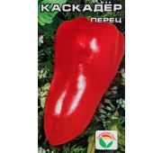 Перец Каскадер (сиб.сад)