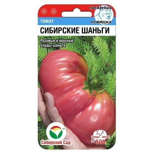 Томат Сибирские Шаньги (СС)