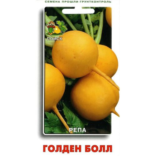 Репа Голден Болл Поиск