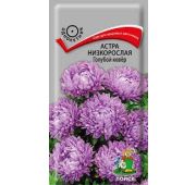 Цветы Астра Голубой ковер (Поиск)