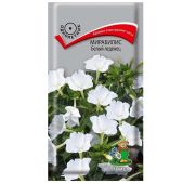 Цветы Мирабилис Белый леденец (Поиск)