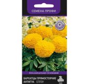 Цветы Бархатцы Антигуа Голд (Поиск)