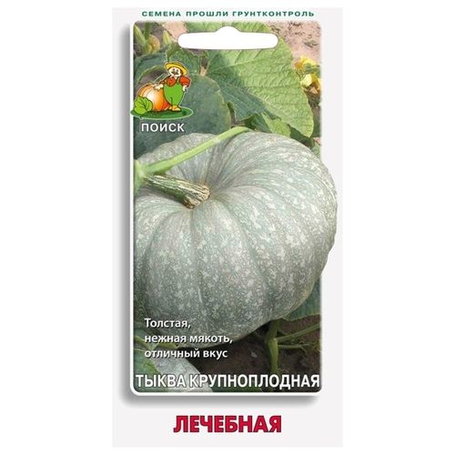 Тыква Лечебная (Поиск)