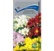 Цветы Хризантема корейская Махр. Смесь (Поиск)