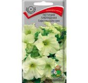 Цветы Петуния Софистика Лайм Грин (Поиск)