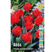 Тюльпан Абба махров. ранн 1шт.