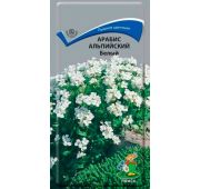 Цветы Арабис Альпийский белый (Поиск)
