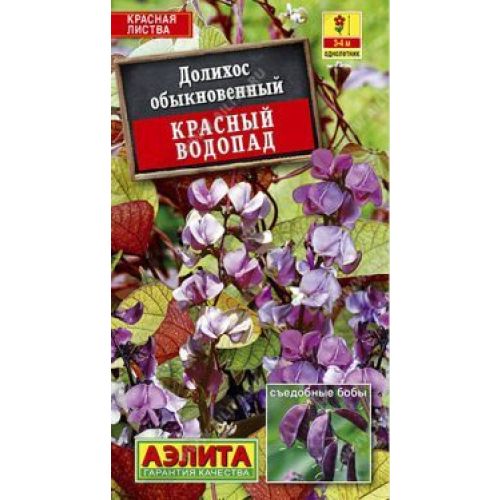 Цветы Долихос Красный Водопад (Аэлита)